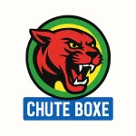 mma chute boxe