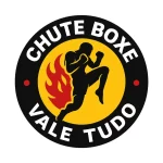 vale tudo chute boxe vale tudo